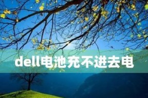 笔记本电脑电池衰竭的原因及解决方法（深入探究笔记本电脑电池衰竭的根源）