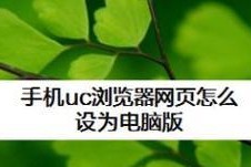 如何设置手机声音小的方法（解决手机声音小的问题）