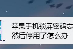 秒解忘记的苹果锁屏密码（快速恢复访问iPhone的方法与技巧）