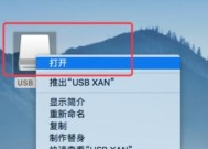 如何解决U盘在电脑上显示但无法打开的问题（排除U盘故障的有效方法及应对措施）